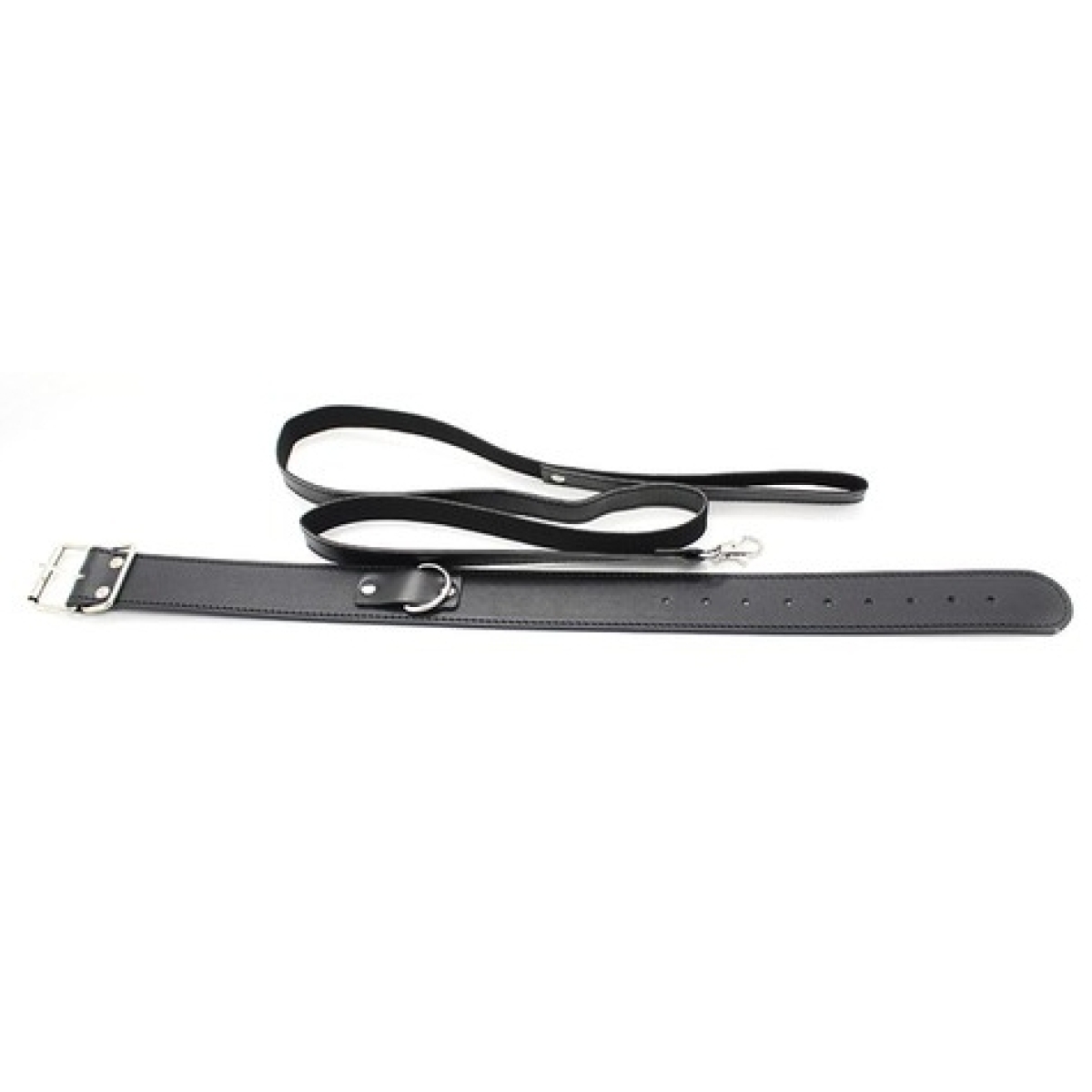 collier laisse premium 1