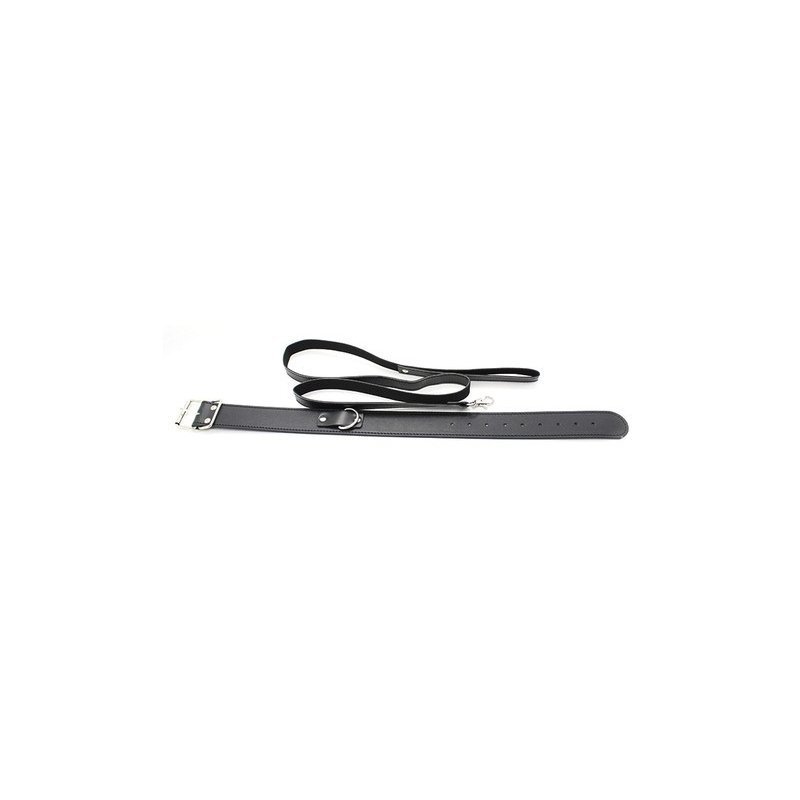 collier laisse premium 1