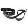 collier laisse premium