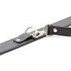 collier laisse premium 2