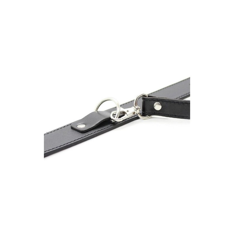 collier laisse premium 2