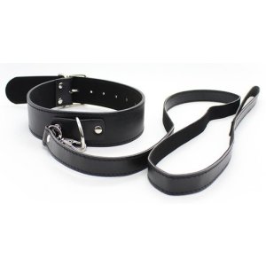 collier laisse premium