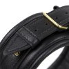 collier premium confort gold 1