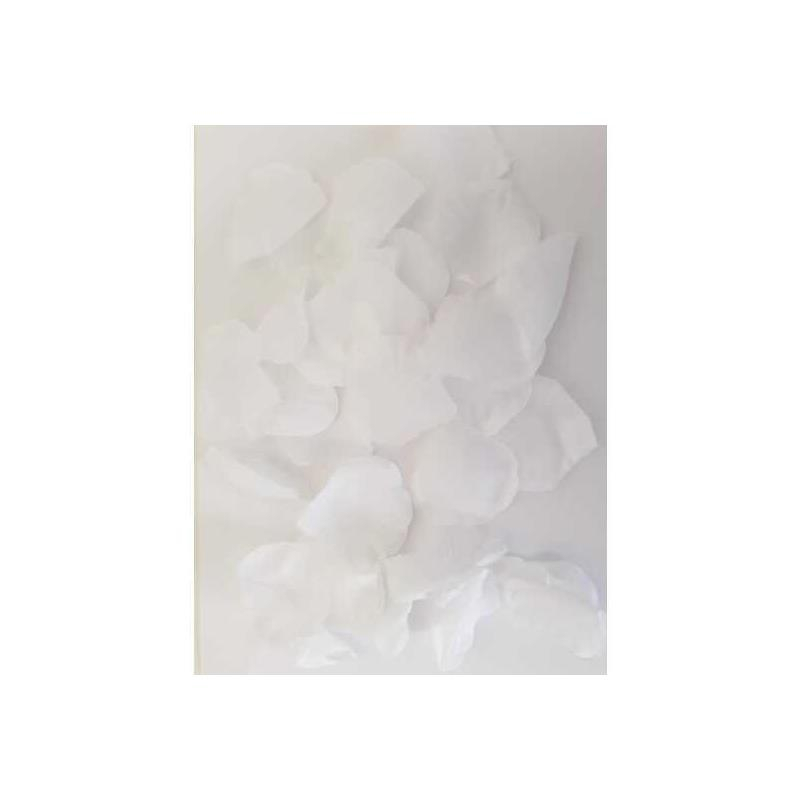100 petals white