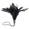 accessoire pour les chatouilles horn tickler noir