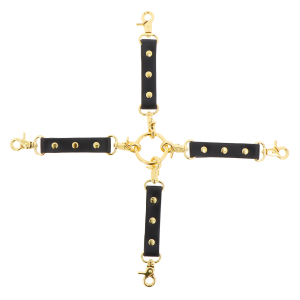 attaches en croix wild roses
