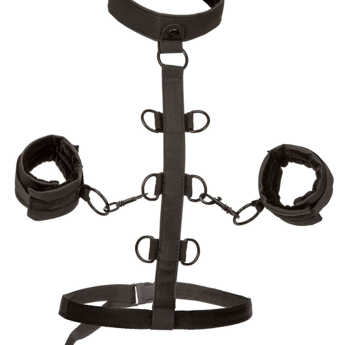 attaches sm collar body restraint boundless