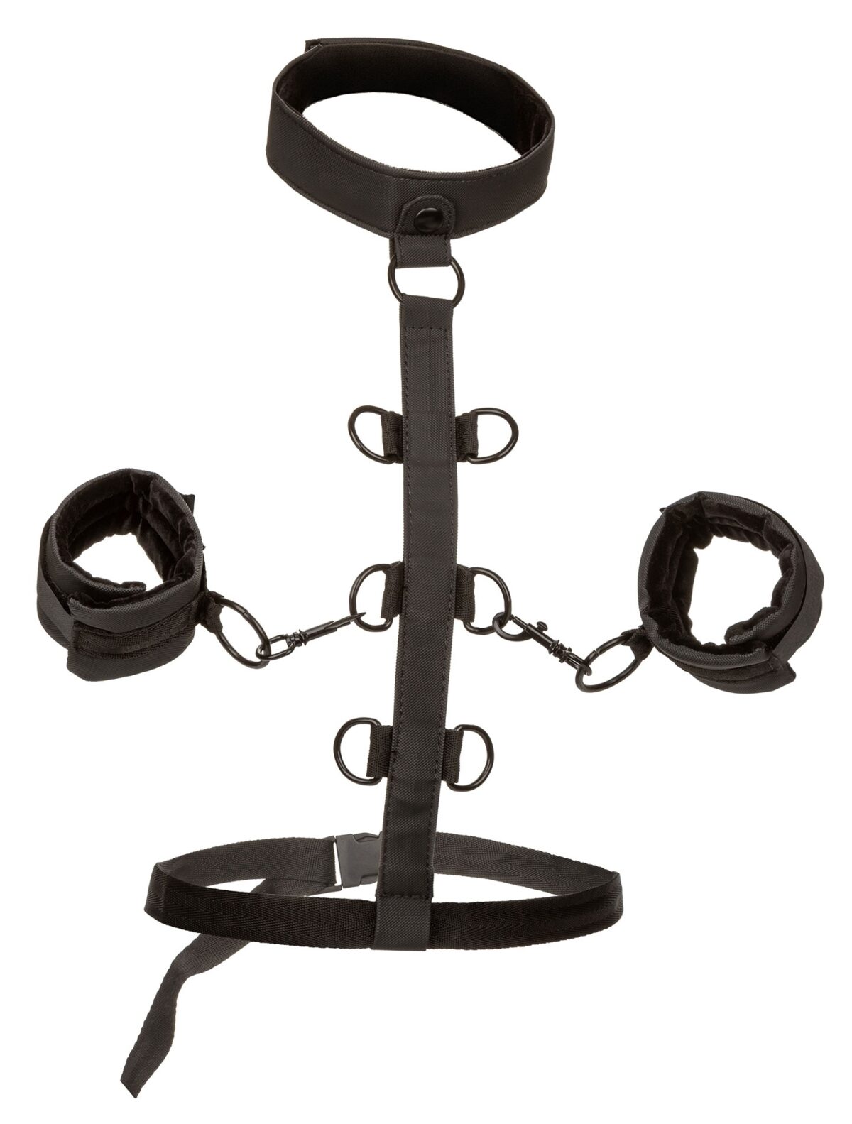 attaches sm collar body restraint boundless