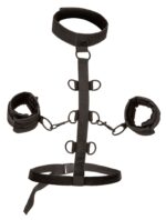 attaches sm collar body restraint boundless