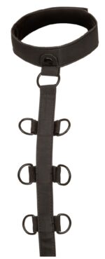 attaches sm collar body restraint boundless 3