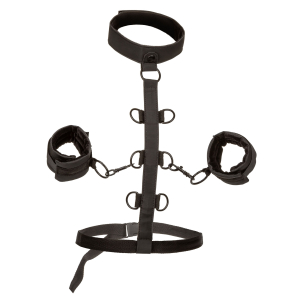 attaches sm collar body restraint boundless