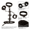 attaches sm collar body restraint boundless 5