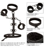 attaches sm collar body restraint boundless 5
