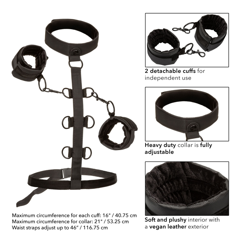 attaches sm collar body restraint boundless 5