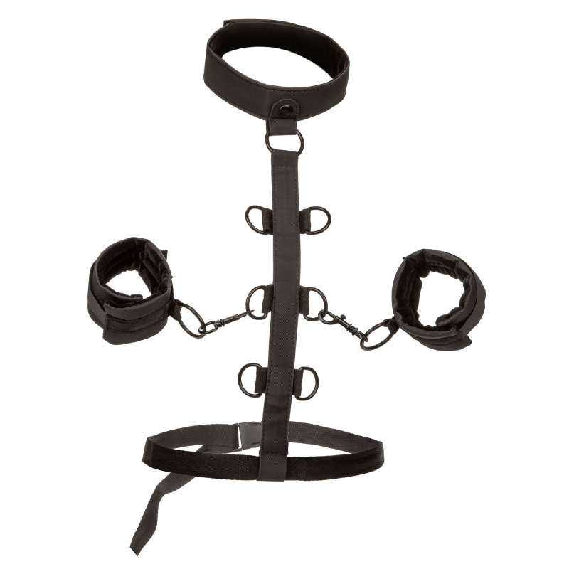 attaches sm collar body restraint boundless