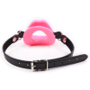 baillon bouche rose 1