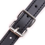 baillon bouche rose 4