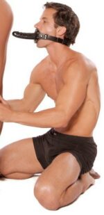 baillon sm avec gode 13 x 35 cm 2