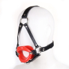baillon sm lips et harnais