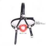 baillon sm lips et harnais 2