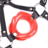 baillon sm lips et harnais 4