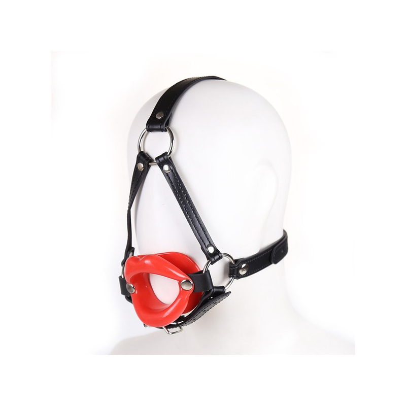 baillon sm lips et harnais