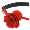 baillon wild roses 2