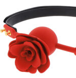 baillon wild roses 2