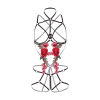 body rose strappy avec cache seins 7 scaled