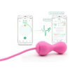 boules-de-geisha-connectees-kegel-master-8-x-34-cm boules de geisha connectees kegel master 8 x 34 cm 10