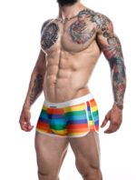 boxer athletic rainbow 2 scaled