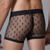 boxer long fin star allure noir 1