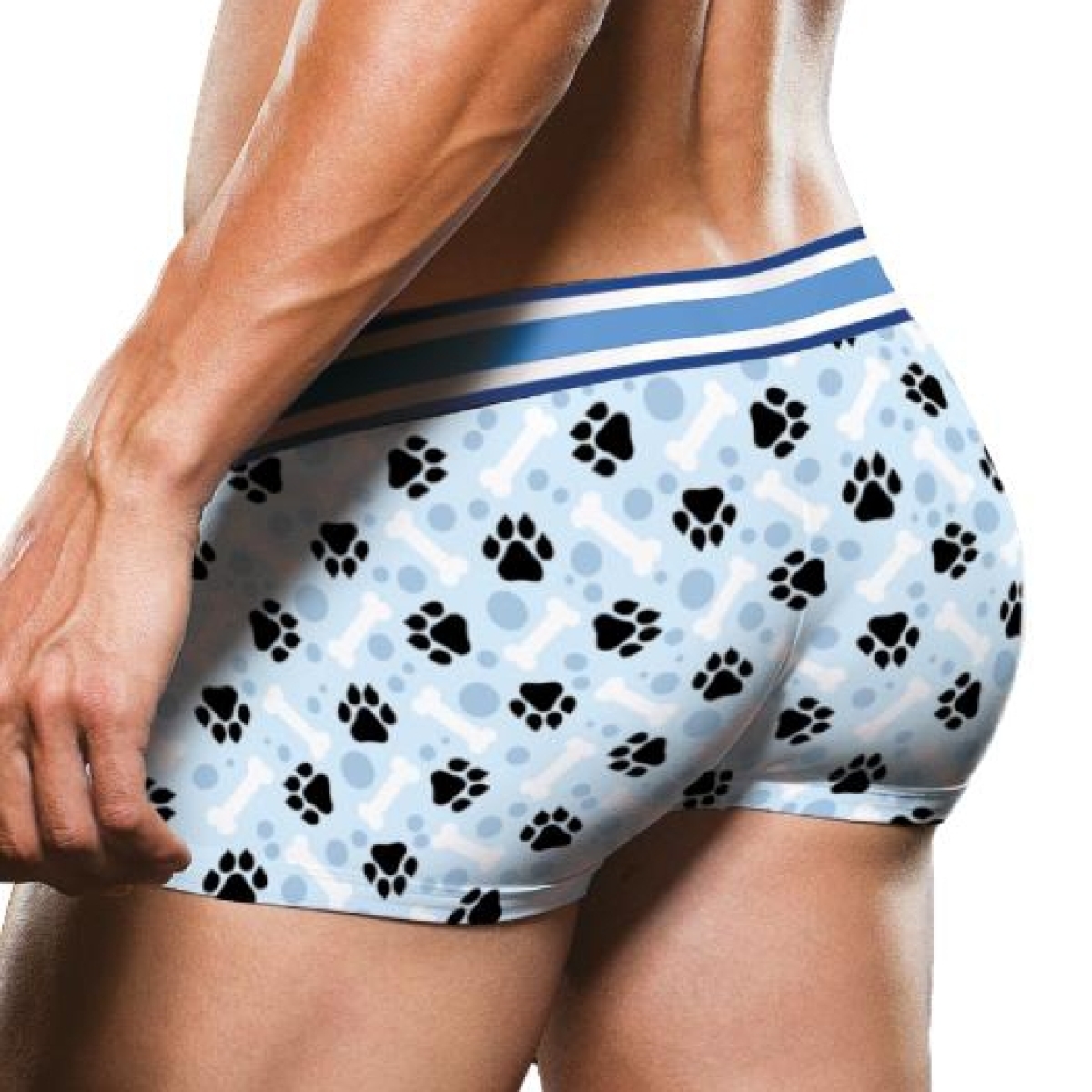 boxer puppy prowler bleu 1