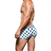 boxer puppy prowler bleu 3