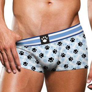 boxer puppy prowler bleu