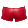 boxer terio rouge 4
