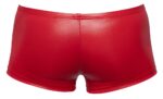 boxer terio rouge 4