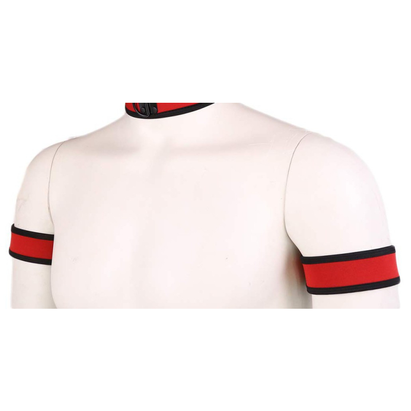 brassards puppy neoprene rouge 2