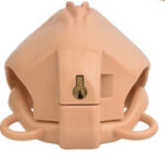 cage de chastete avec harnais sislab 55 x 35cm beige 2