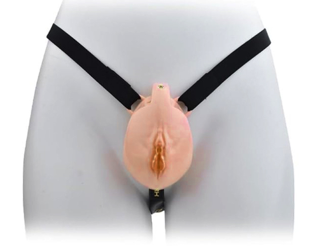 cage de chastete avec harnais sislab 55 x 35cm beige