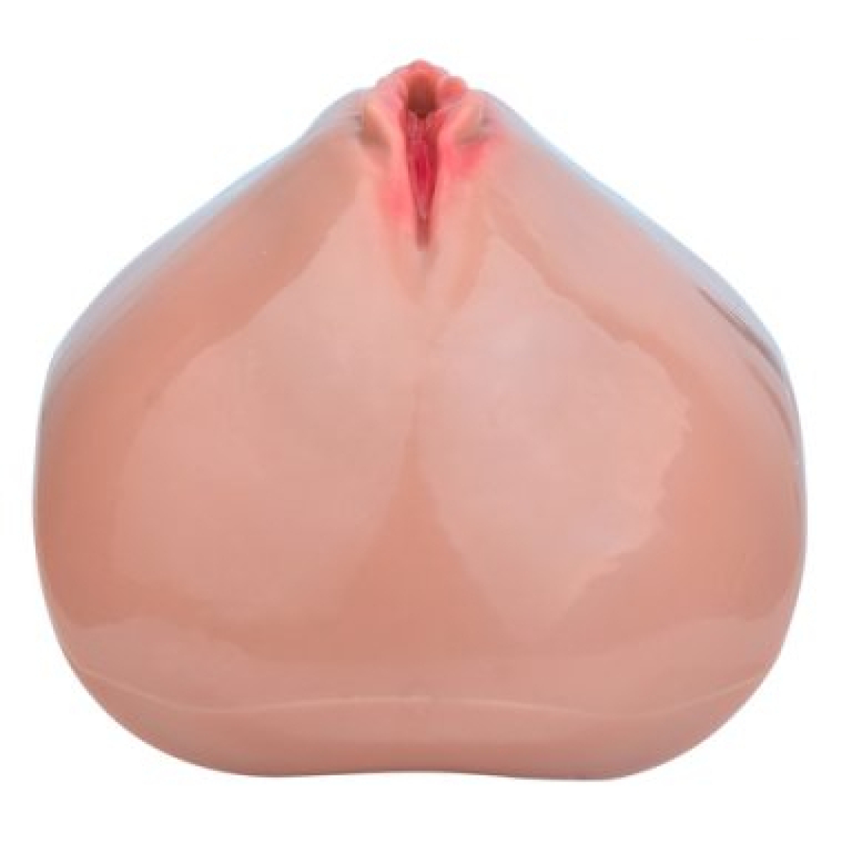 cage de chastete avec harnais sislab 55 x 35cm chair 10