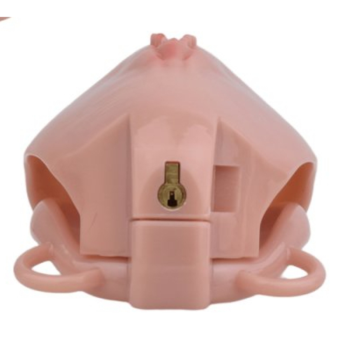 cage de chastete avec harnais sislab 55 x 35cm chair 12