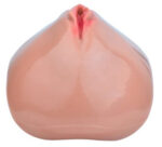 cage de chastete avec harnais sislab 55 x 35cm chair 3