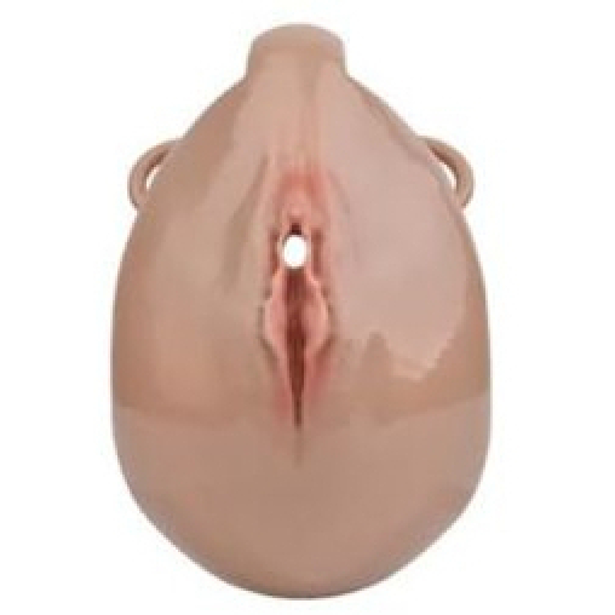 cage de chastete avec harnais sislab 55 x 35cm marron 10