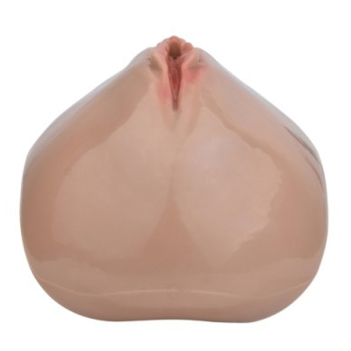 cage de chastete avec harnais sislab 55 x 35cm marron 16