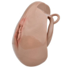 cage de chastete avec harnais sislab 55 x 35cm marron 3