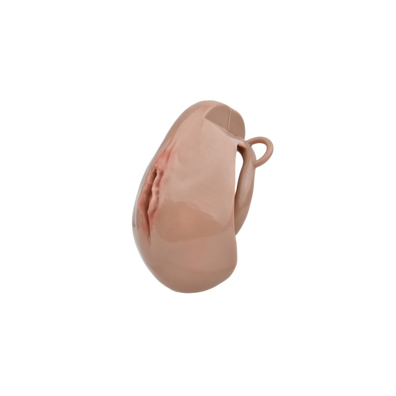 cage de chastete avec harnais sislab 55 x 35cm marron 3