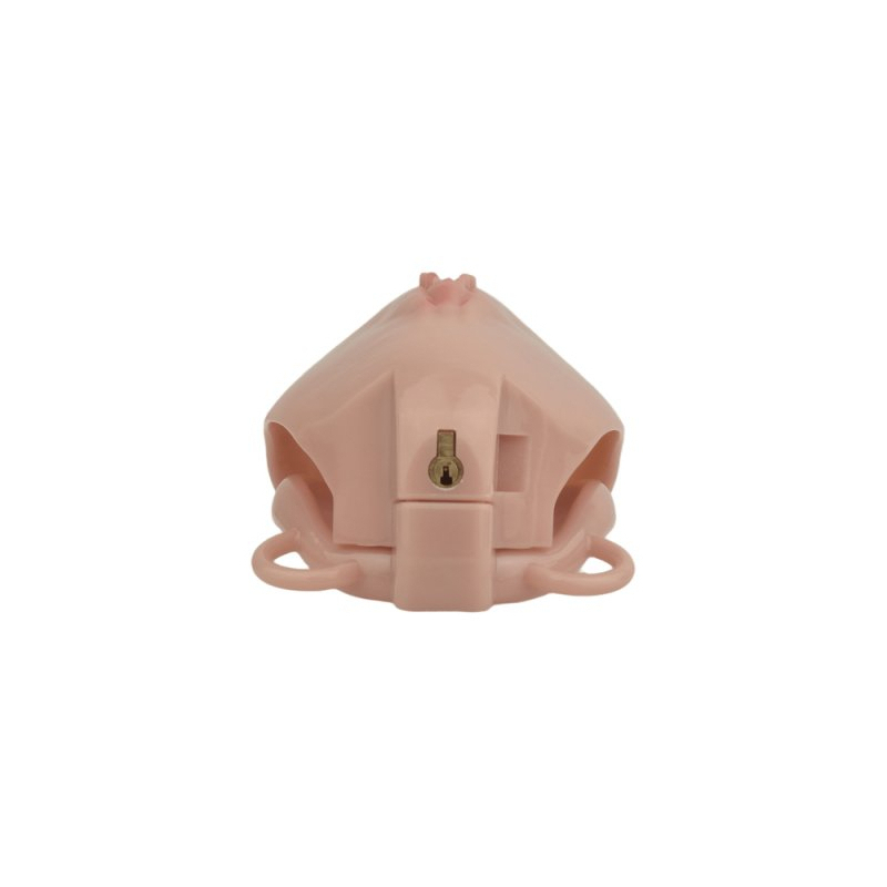 cage de chastete avec harnais sislab 55 x 35cm marron 6