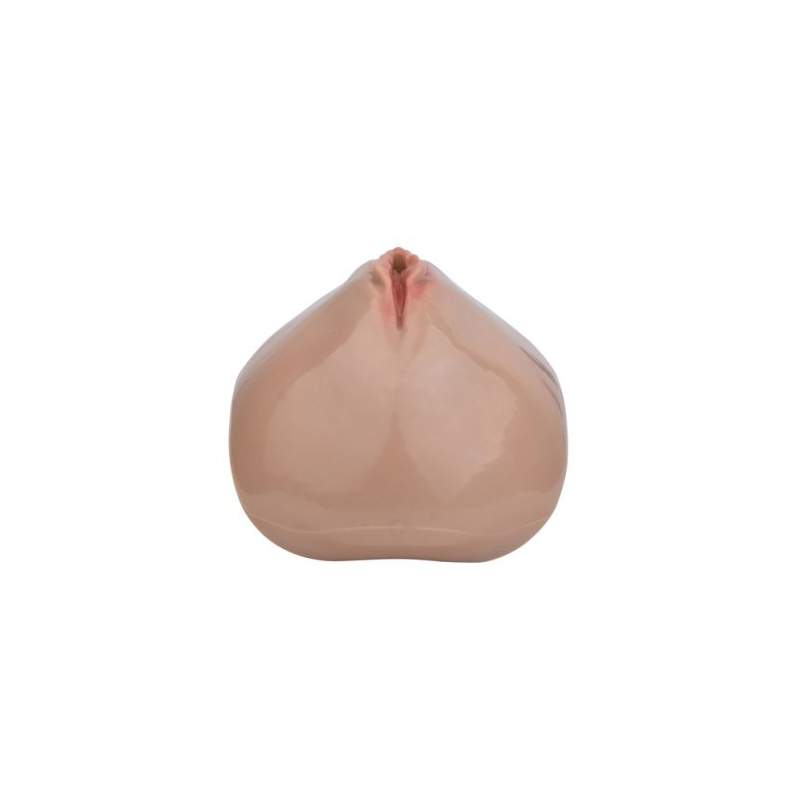 cage de chastete avec harnais sislab 55 x 35cm marron 7