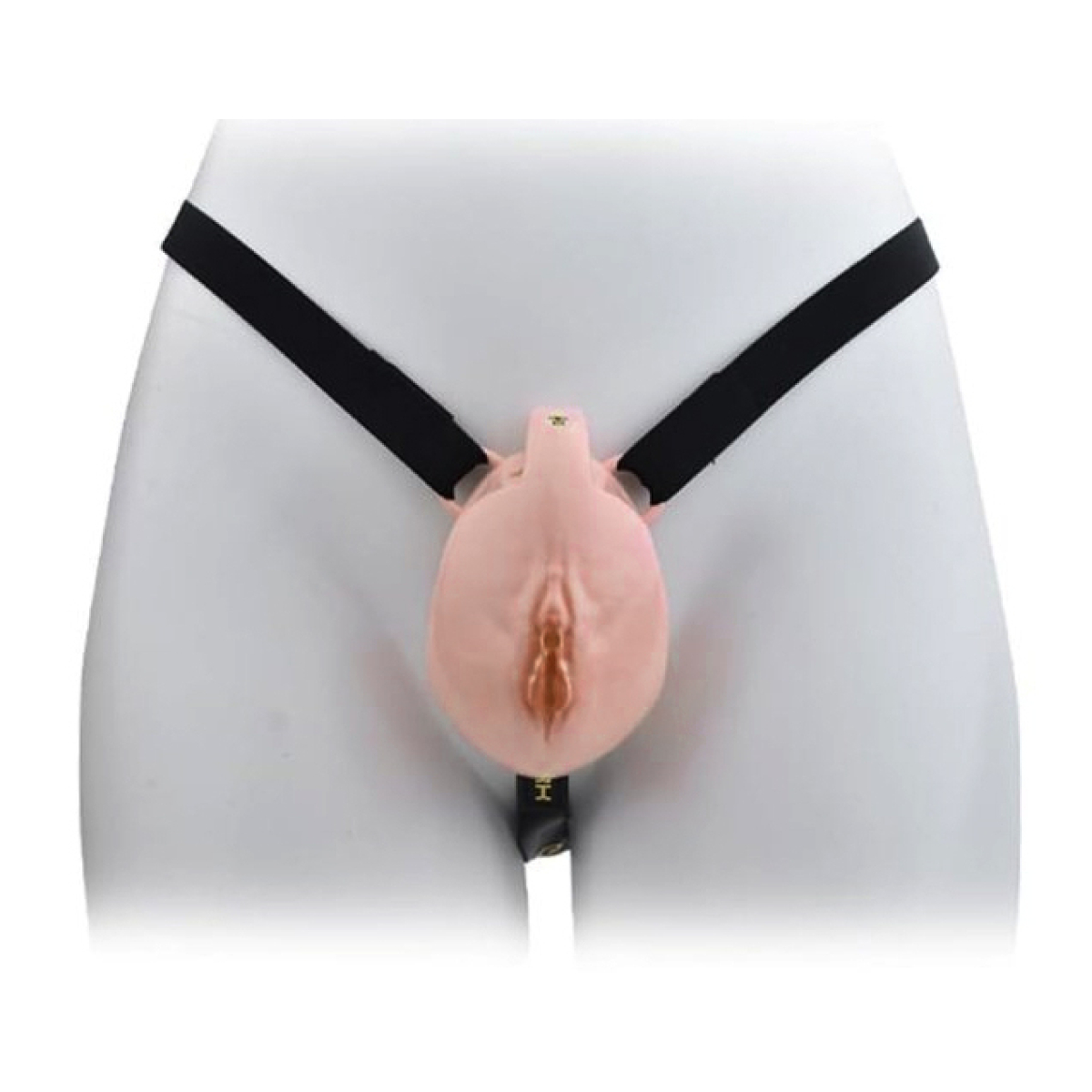 cage de chastete avec harnais sislab 55 x 35cm marron 9